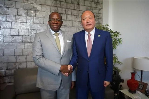 李金元非洲会见几内亚国务部长